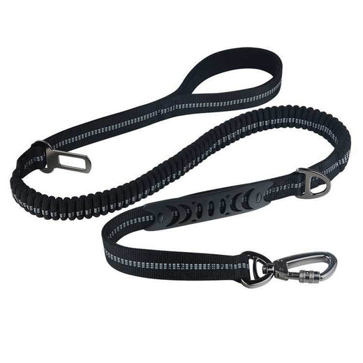 Pawling Road Ready™ Reflective Car Safety Lead