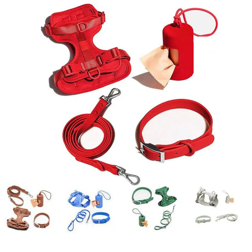 Pawling Signature Walk Set™ | Harness, Leash, Collar + Bag Holder