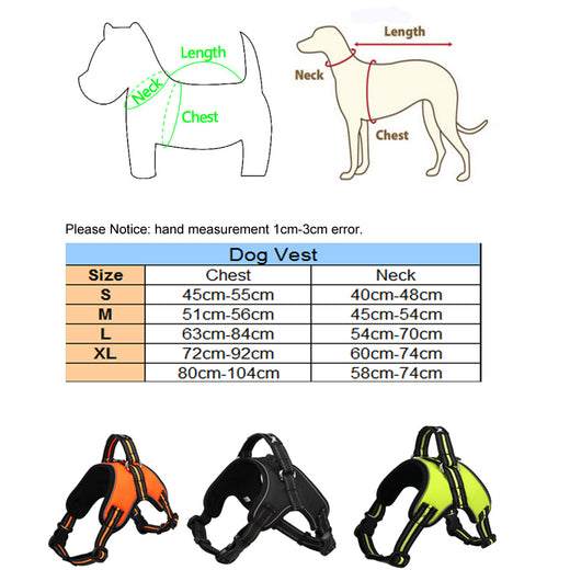 Pawling Night Watch™ Reflective Control Harness