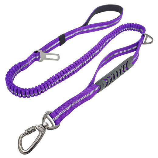 Pawling Road Ready™ Reflective Car Safety Lead