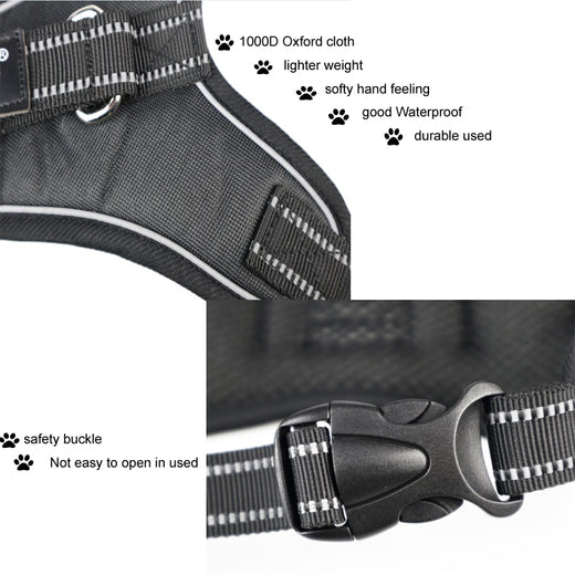 Pawling Night Watch™ Reflective Control Harness