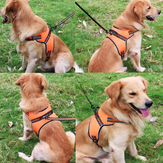 Pawling Night Watch™ Reflective Control Harness
