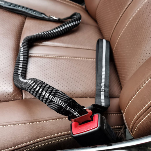 Pawling Road Ready™ Reflective Car Safety Lead
