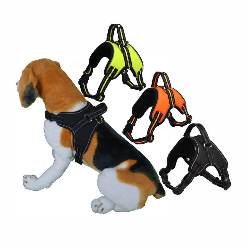 Pawling Night Watch™ Reflective Control Harness