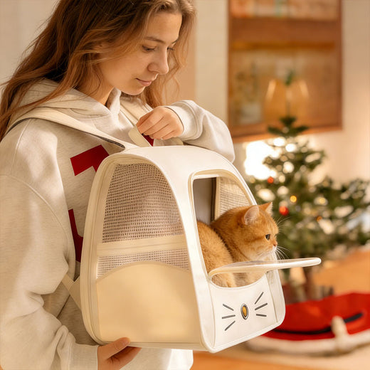 Pawling Jet Set™ Breathable Pet Carrier