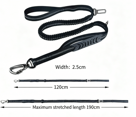 Pawling Road Ready™ Reflective Car Safety Lead