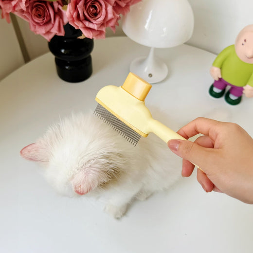Pawling Spa Day™ Self-Cleaning Grooming Brush