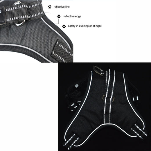 Pawling Night Watch™ Reflective Control Harness