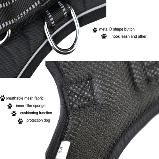 Pawling Night Watch™ Reflective Control Harness