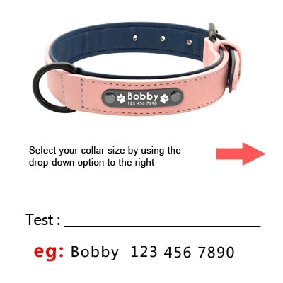 Pawling Signature™ Personalized Leather Collar + Lead Set
