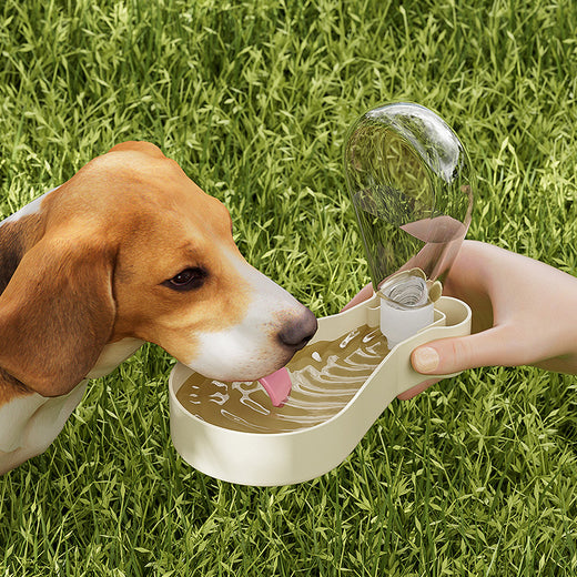 Pawling Walk + Sip™ Travel Water Bottle