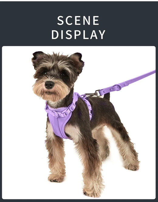 Pawling Signature Walk Set™ | Harness, Leash, Collar + Bag Holder