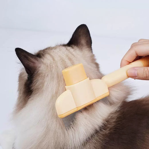 Pawling Spa Day™ Self-Cleaning Grooming Brush