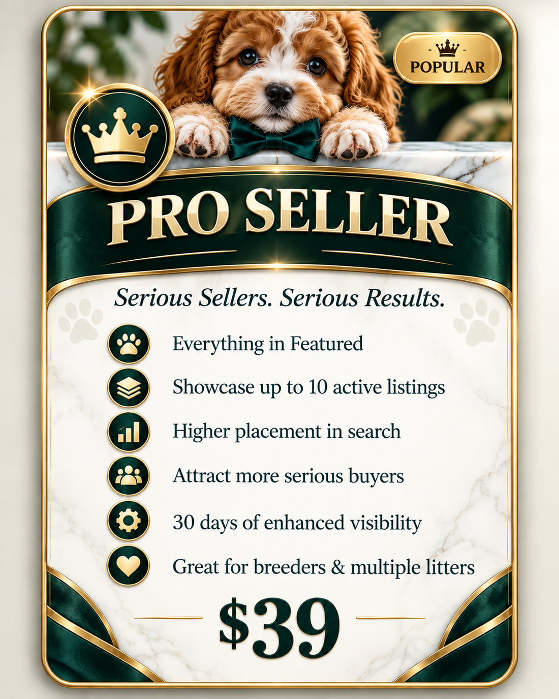 Pro Seller — 30 Days