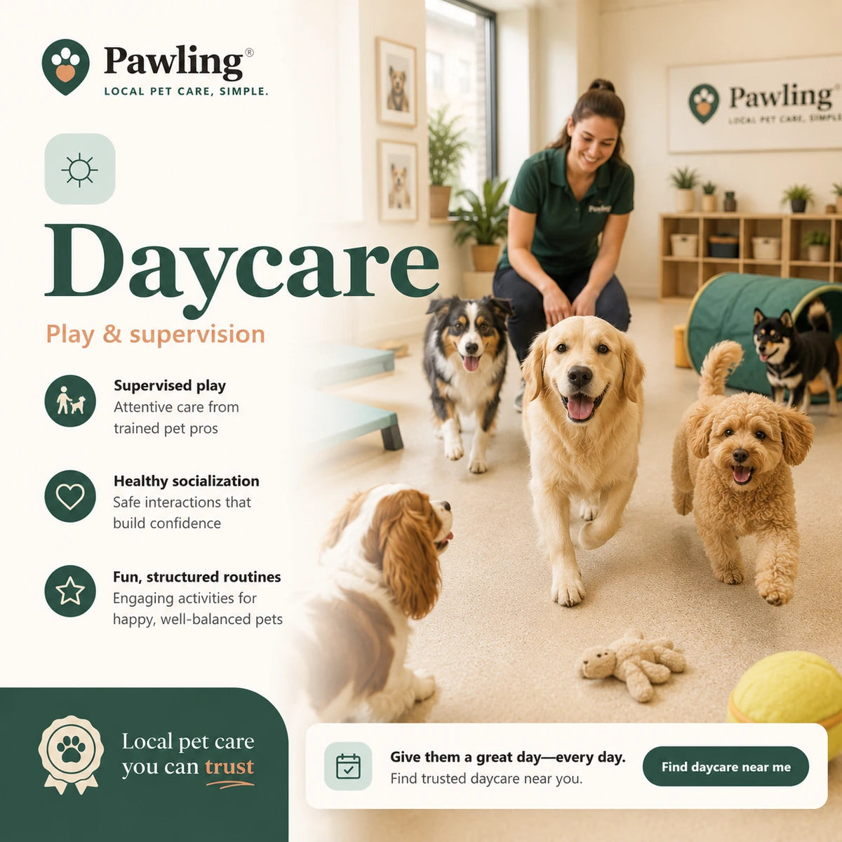Pawling dog daycare advertising example
