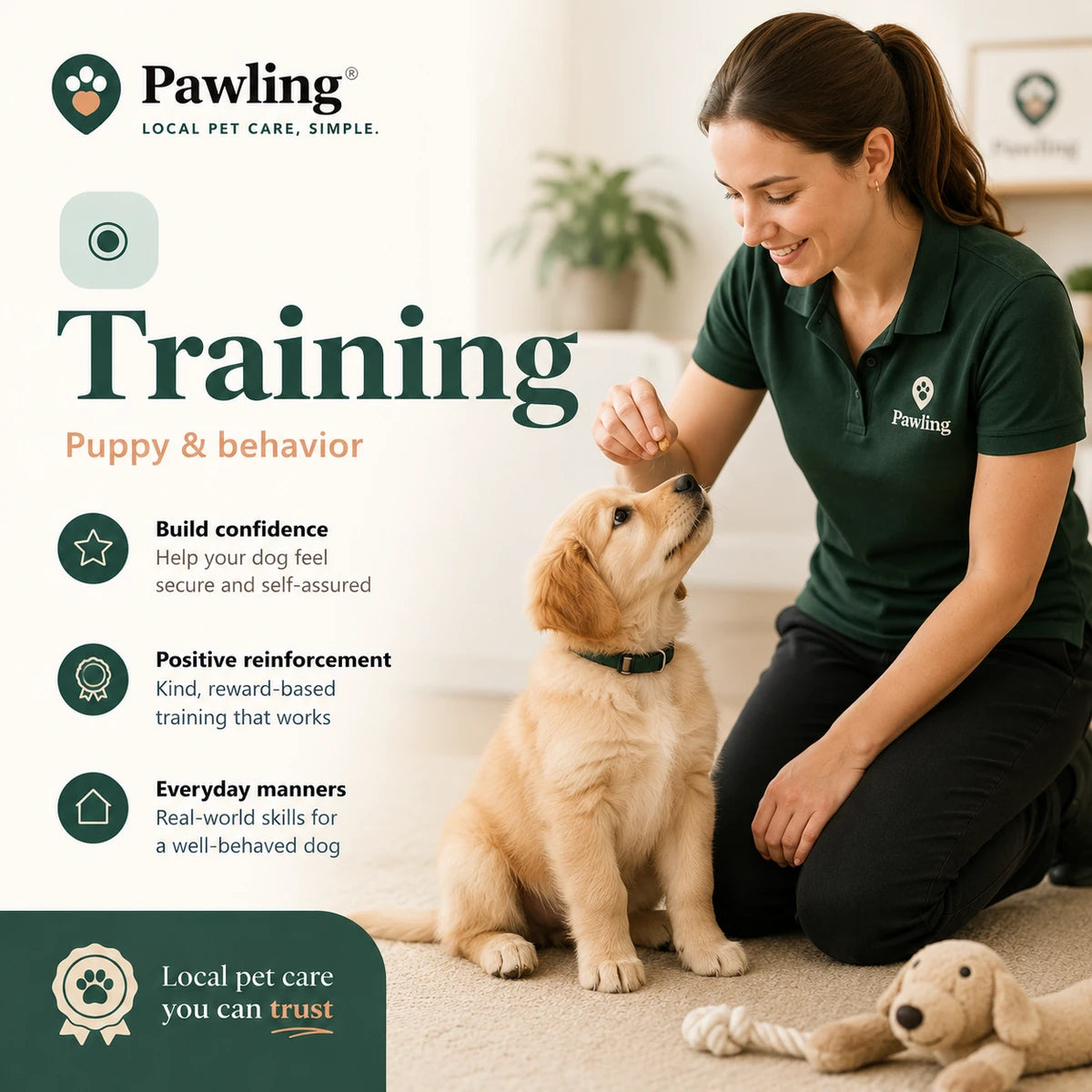 Pawling dog training advertising example